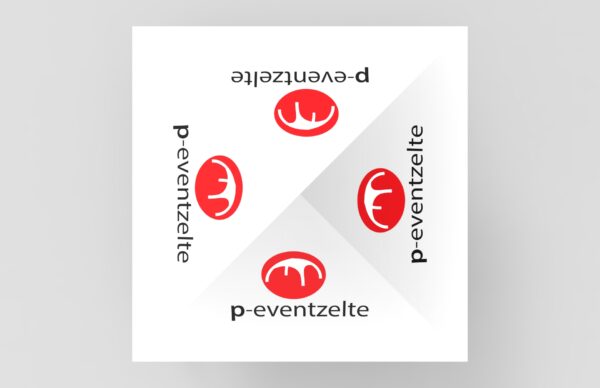 Aufblasbares Faltzelt 2,5x2,5 - Kompakt, vielseitig und wetterfest - Jetzt entdecken!